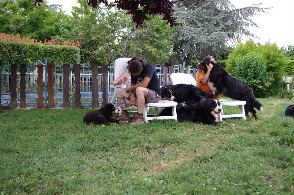 bovari%20giugno%20077